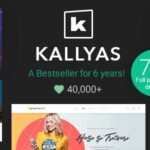 KALLYAS Responsive Multi-Purpose WordPress Theme Nulled Free Download
