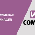 WooCommerce API Manager Nulled Free Download