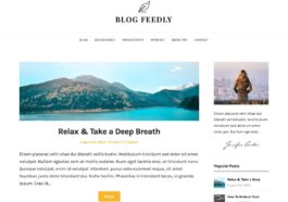 Blog Feedly [Superbthemes] Nulled Free Download