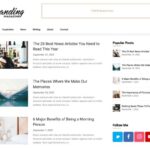 Feather Magazine Superb Themes Nulled Free Download