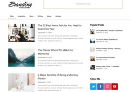 Feather Magazine Superb Themes Nulled Free Download