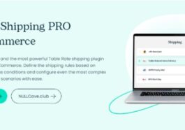 Flexible Shipping PRO WooCommerce [by Octolize, WpDesk] Nulled Free Download