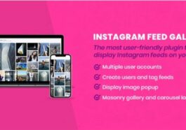 Instagram Feed by QuadLayers Nulled Free Download