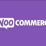 Automatic Payment Status WooCommerce Nulled by WpDesk Free Download