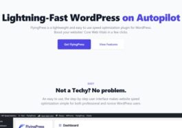 FlyingPress Taking WordPress To New Heights Nulled Free Download
