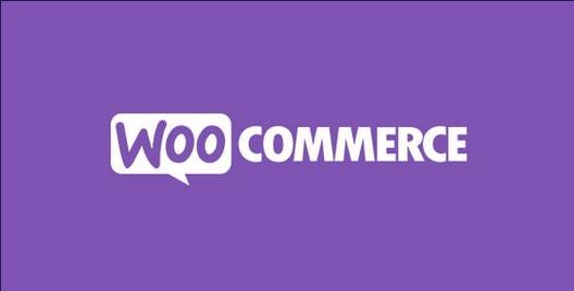 WooCommerce Active Payments by WpDesk Nulled Free Download