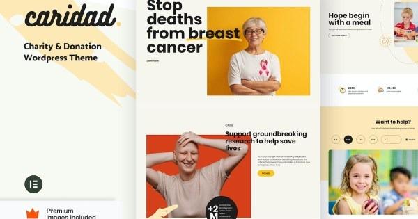 Caridad Charity WordPress Nulled Free Download