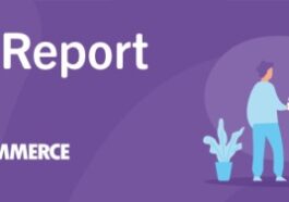 WooCommerce Sales Report Email Nulled Free Download