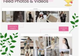 SocialFeed Photos & Video using Instagram API Nulled Free Download