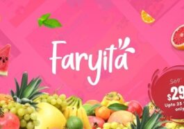 Faryita Organic Juice & Health Drinks WordPress Theme Nulled Free Download