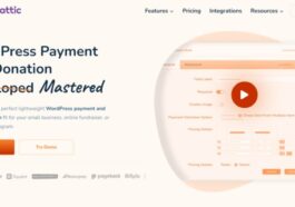 Paymattic Pro WordPress Payment and Donation Nulled Free Download